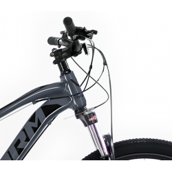 Storm Shark 5.0 HD popiel 2024