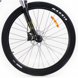 Storm Shark 4.0 HD popiel 2024