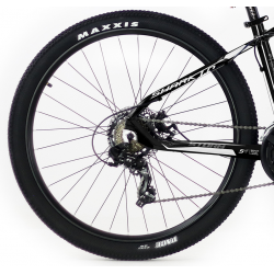 Storm Shark 1.0 HD 2D czarny biały złoty 2022