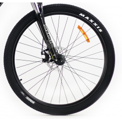 Storm Shark 1.0 HD 2D czarny biały złoty 2022