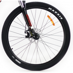 Storm Shark 1.0 HD 2D czerwony czarny 2022