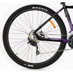 Storm Shark Lady 7.0 HD fioletowy 2024