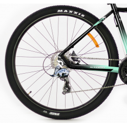 Storm Shark Lady 6.0 HD turkusowy 2024