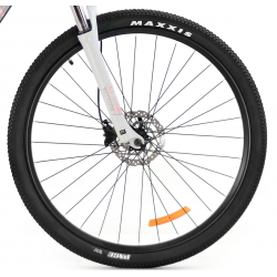 Storm Shark Lady 6.0 HD różowy perłowy 2022