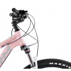 Storm Shark Lady 6.0 HD różowy 2024