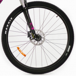 Storm Shark Lady 5.0 HD fuksja czarny 2022