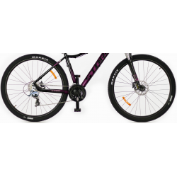 Storm Shark Lady 5.0 HD śliwka czarny 2022