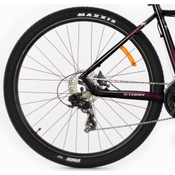 Storm Shark Lady 4.0 HD śliwka czarny 2022