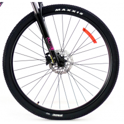 Storm Shark Lady 4.0 HD fuksja czarny 2022