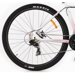 Storm Shark Lady 3.0 HD różowy perła 2022