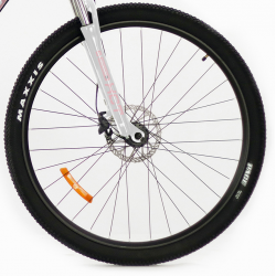 Storm Shark Lady 3.0 HD różowy perła 2022