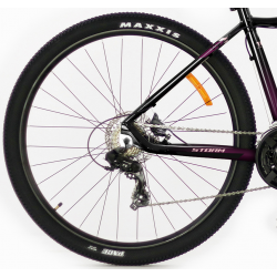 Storm Shark Lady 3.0 HD śliwka czarny 2022