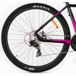 Storm Shark Lady 2.0 HD fuksja czarny 2022