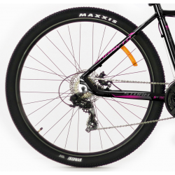 Storm Shark Lady 1.0 2D czarny fuksja 2022