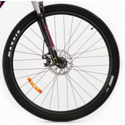 Storm Shark Lady 1.0 2D czarny fuksja 2022