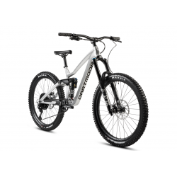 Rower górski Dartmoor Thunderbird FR Pro srebrny 2025 + eBon 250 zł