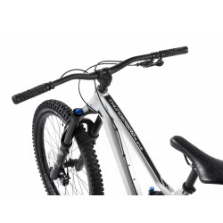 Rower górski Dartmoor Thunderbird FR Pro srebrny 2025 + eBon 250 zł