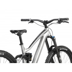 Rower górski Dartmoor Thunderbird FR Pro srebrny 2025 + eBon 250 zł