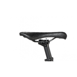 Rower górski Dartmoor Thunderbird FR Evo czarny / grafit mat 2025 + eBon 250 zł