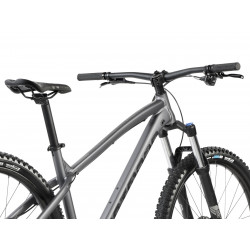 Rower górski Dartmoor Primal Intro 29 grafitowy 2025 + eBon 150 zł