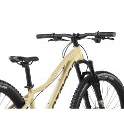 Rower dziecięcy Dartmoor Sparrow Junior 27.5/26 sand storm mat 2025 + eBon 150 zł