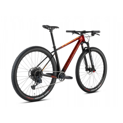 Accent Peak Carbon Boost GX Eagle bordowy 2024 + eBon 250 zł