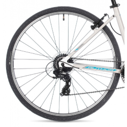 Rower crossowy AUTHOR Linea biały / niebieski 2025 + eBon 80 zł