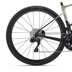 Rower szosowy LIV Avail Advanced Pro 1 golden haze 2024