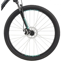 GT Aggressor 29 Sport grafitowy