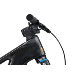 Rower elektryczny LIV Intrigue X Advanced E+ Elite 1 Raw Carbon 2024