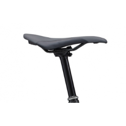 Giant Liv Intrigue X Advanced E+ EL 1 Raw Carbon 2024