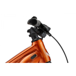 Rower elektryczny 29 LIV Vall E+ 3 Amber Glow 2024