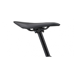 Rower górski LIV Pique Advanced 29 2 Golden Haze 2024