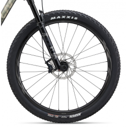 Rower górski LIV Pique Advanced 29 2 Golden Haze 2024