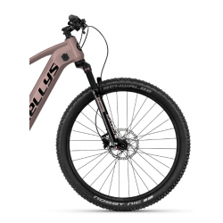 Kellys Tayen R50 P Rose Gold 2024