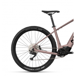 Kellys Tayen R50 P Rose Gold 2024