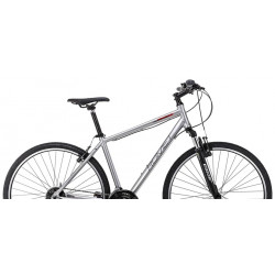 Romet Orkan 2M grafitowy 2023