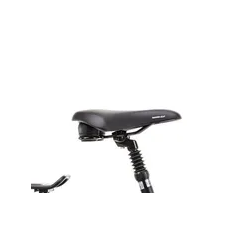 Romet e-modeco urb 2.0 725wh czarny 2024