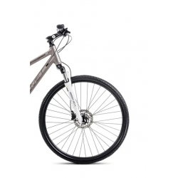 Romet orkan 4D szampański 2024