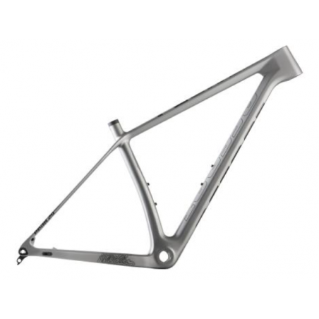 Accent rama MTB 29 Peak Carbon Boost platinum, boost 148x12mm