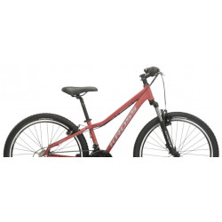 Kross Lea 1.0 bordowo szary mat 2024