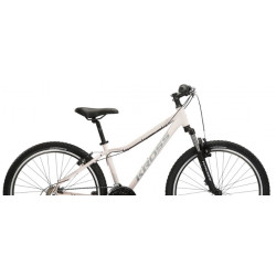 Kross Lea 1.0 różowy szary mat 2024