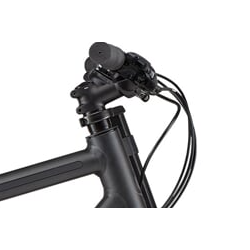 Cannondale Bad Boy 3 czarny