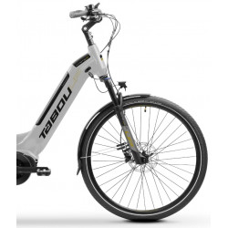 Rower elektryczny TABOU KINETIC UP 1.0 W damski szary / złoty 2024