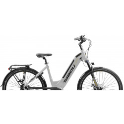 Rower elektryczny TABOU KINETIC UP 1.0 W damski szary / złoty 2024