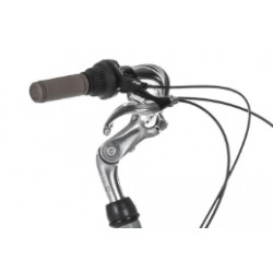 Rower miejski TABOU KAYLA szary / biały 2024