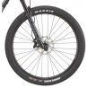 Cannondale Scalpel 29 Carbon 4 2024