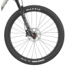 Cannondale Scalpel 29 Carbon 3 2024