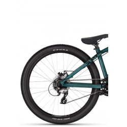 Rower Dirt Kellys Whip 10 Mineral Green 2024