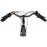 Rower elektryczny Ecobike Basic Black Greenway Greenway 36V 17,5 Ah (630 Wh)